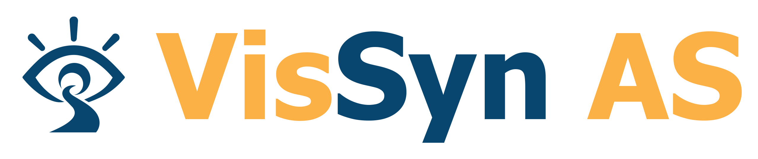 VisSyn AS logo